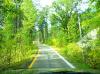 PICTURES/Wind Cave National Park/t_Winding 87 in Custer.JPG